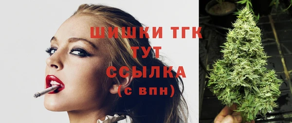 ECSTASY Богданович