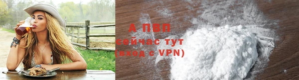 ECSTASY Богданович