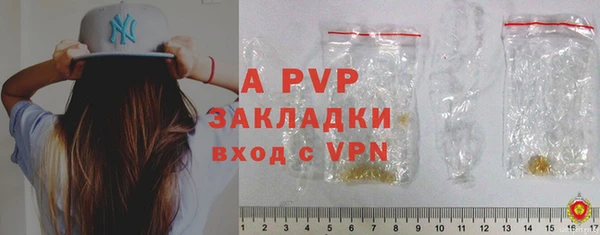 ECSTASY Богданович