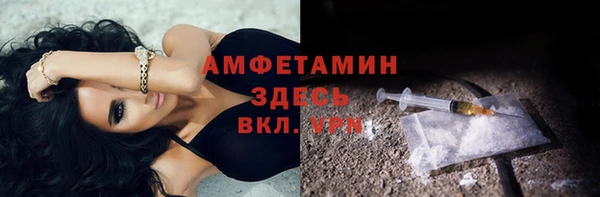 ECSTASY Богданович