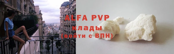 ECSTASY Богданович