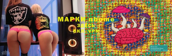 прущие грибы Богородицк