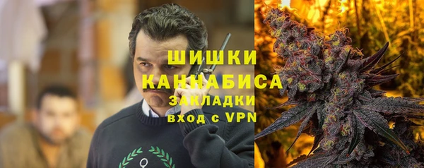 прущие грибы Богородицк