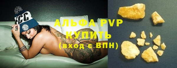 прущие грибы Богородицк
